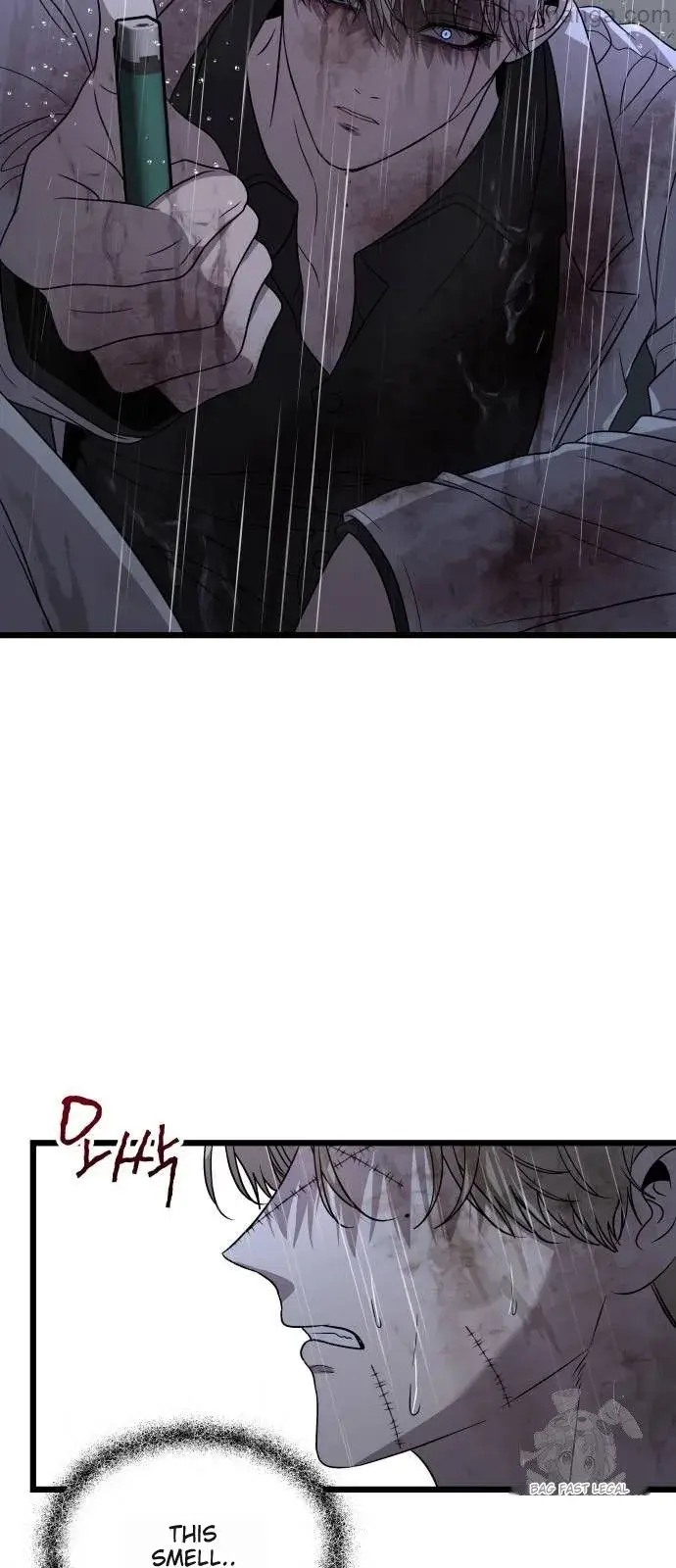 Dreaming Freedom Chapter 164 image 65_optimized
